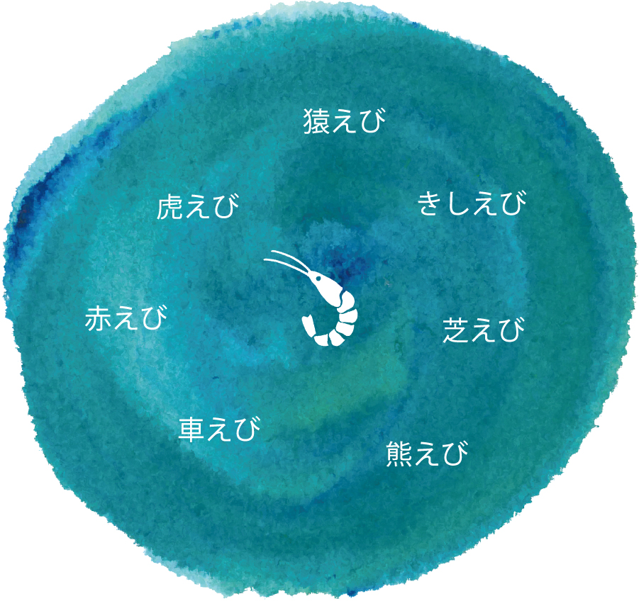 猿えび・きしえび・芝えび・熊えび・車えび・赤えび・虎えび